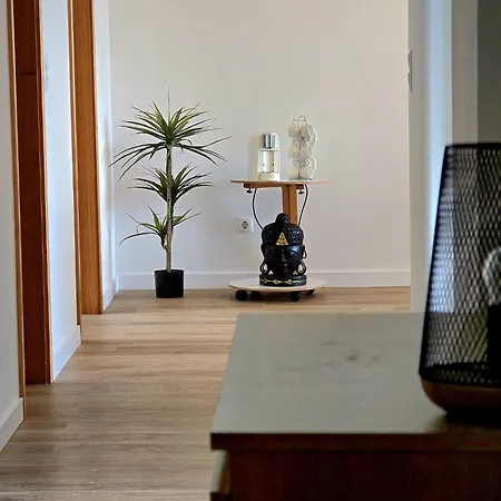 Paim * Ponta Delgada (Sao Miguel)